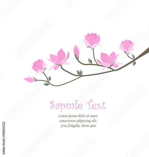 Vector magnolia flowers