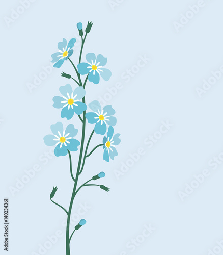 Vector blue forget me not flowers