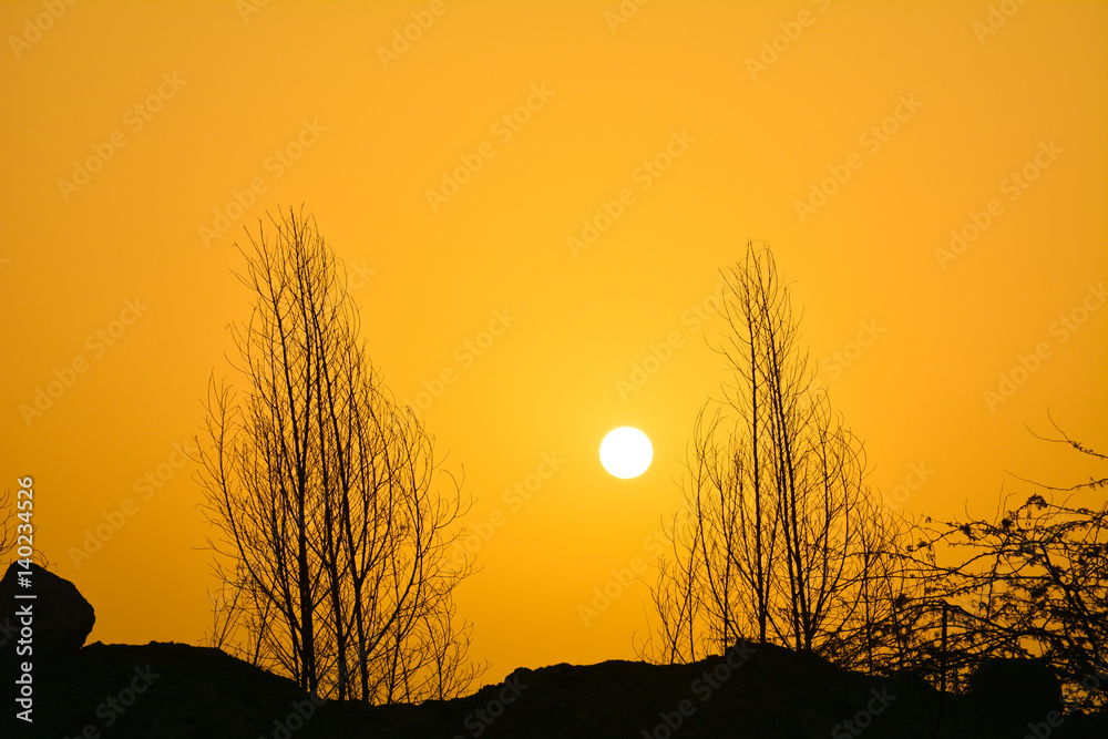 Fototapeta premium Sunrises and silhouette trees