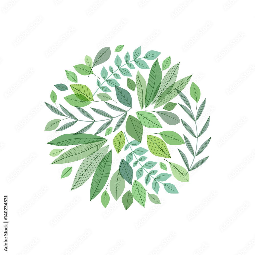 Obraz Decoration branches with leaves