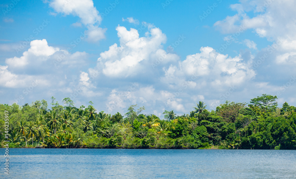 beautiful clear sea on the wonderful exotic jungle in the sunny Sri Lanka