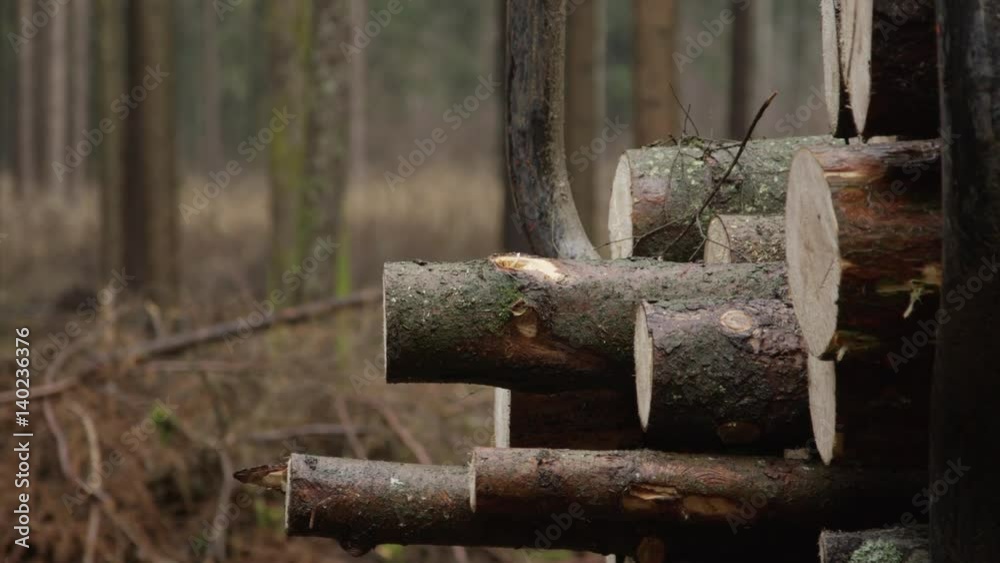 Transporting stack of cut trees Transporting stack of cut trees