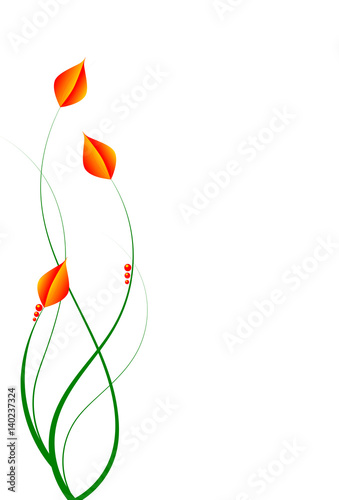 Fire Bud Flower