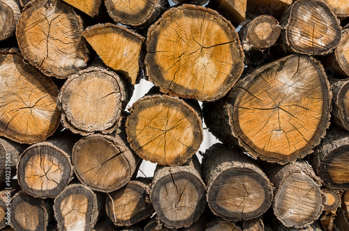 Stacked Logs Texture  Natural Background