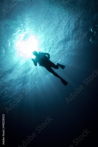 Diver from below