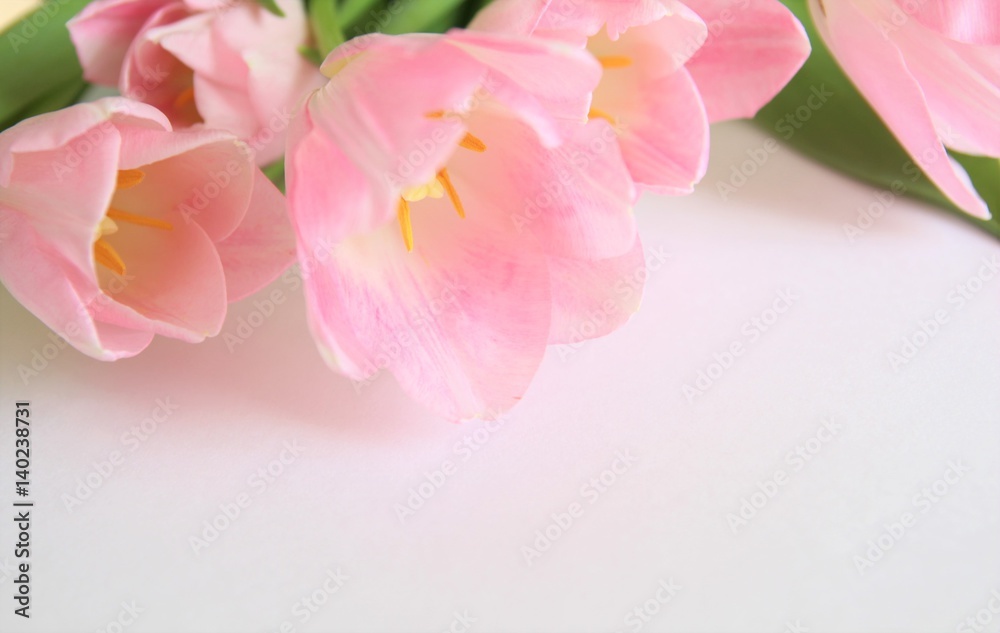Bouquet of pink tulips. Blossom. Flowers