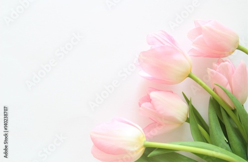 Bouquet of pink tulips. Blossom. Flowers