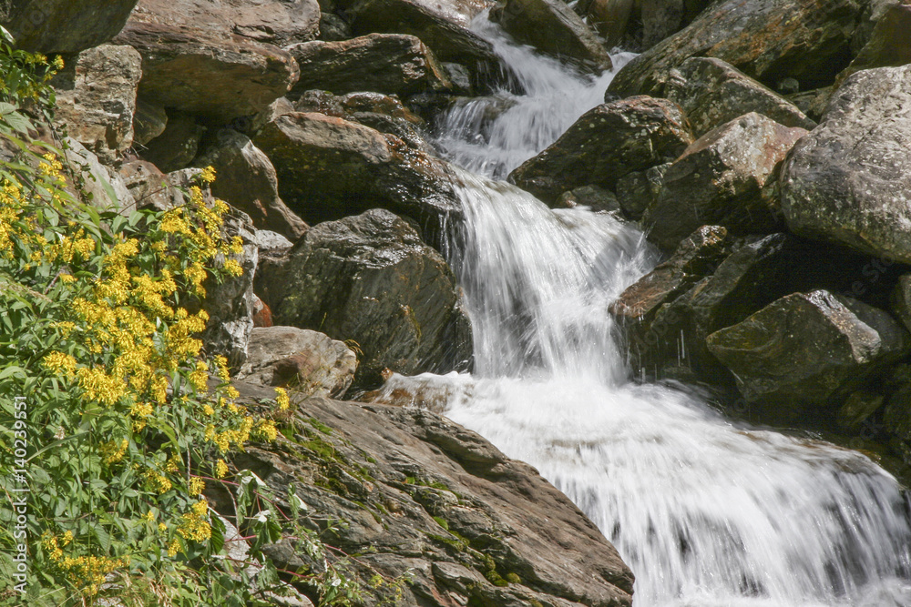 Wasserfalldetail mit gelben Blüten