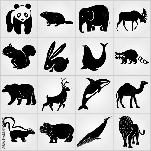 Set of Mammal Animals icons. Rabbit, Deer, Elephant , Sea lion, Grampus, Groundhog, Bear, Squirrel, Moose, Raccoon, Camel, Skunk, Hippopotamus, Whale, Lion and Panda icons