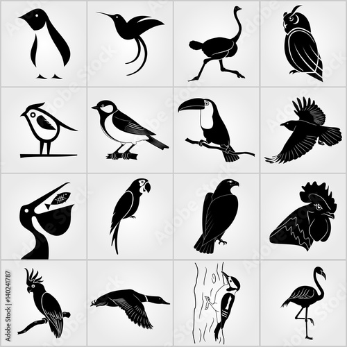 Set of Birds icons. Penguin, Bird, Pelican, Humming Bird, Owl, Eagle, Cock, Rooster, Toucan, Ostrich, Raven, Great Tit, Parrot, Woodpecker, Duck, Cockatoo and Flamingo  icons