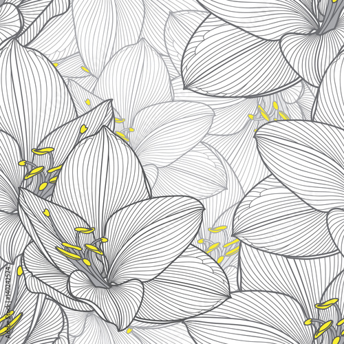 Fototapeta Naklejka Na Ścianę i Meble -  Monochrome seamless hand-drawing floral background with flower amaryllis. Vector illustration