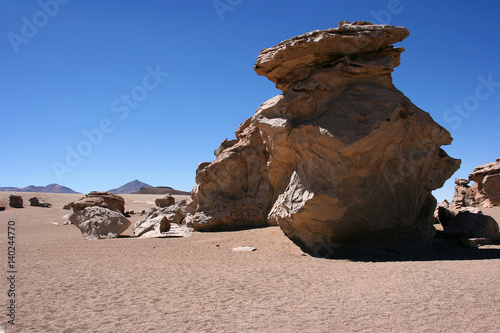 Rock formation (Arbol de Piedra) in the Eduardo Avaroa Andean Fauna National Reserve, Sur Lipez Province, Bolivia