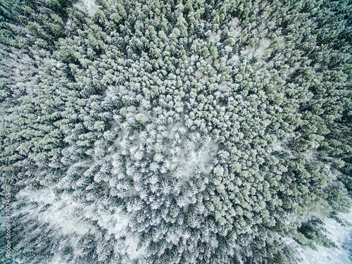 Aerial view of snowy forest with a road.