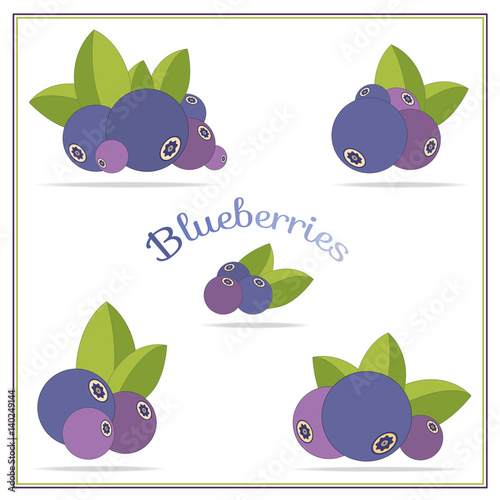 Set with blueberries icons isolated on white. Bright color, fashion style for prints, batik, silk textile, cushion pillow, bandanna kerchief. Rustic style for clothes, bedclothes