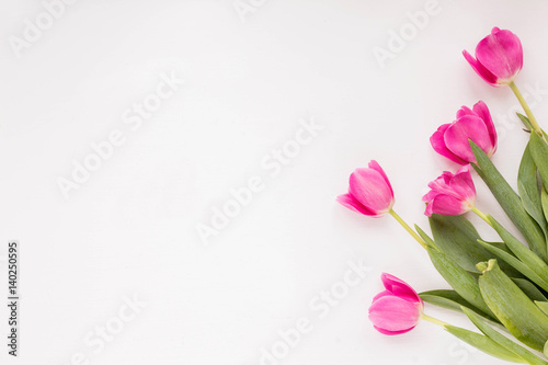 Fototapeta Naklejka Na Ścianę i Meble -  Spring flowers. Pink tulip on white background. Flat lay.