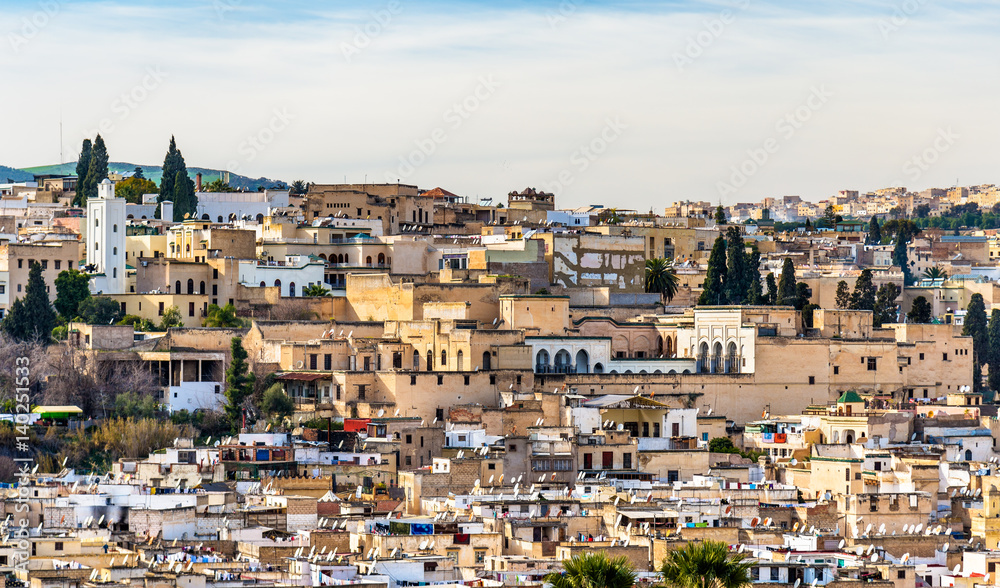 Panorama of Old Medina in Fes, Morocco, Africa