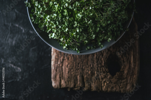 Microgreen in a gray dish on a wooden rustic background