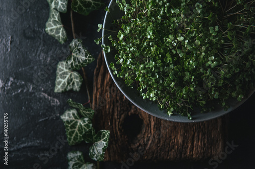 Microgreen in a gray dish on a wooden rustic background © Mikhaylovskiy 