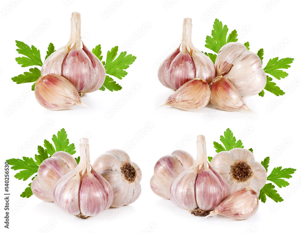 Garlic isolated on white Garlic isolated on white
