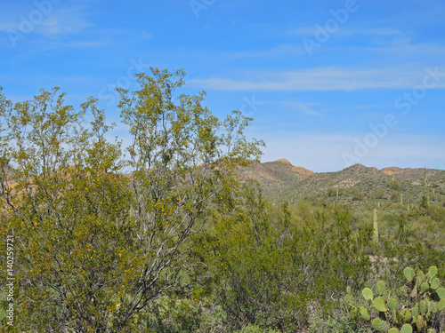 Scenic views of vast expanses of mountains  rocky ridges  and vegetation abound from Route 88 in Tonto National Forest  also known as the Apache Trail.