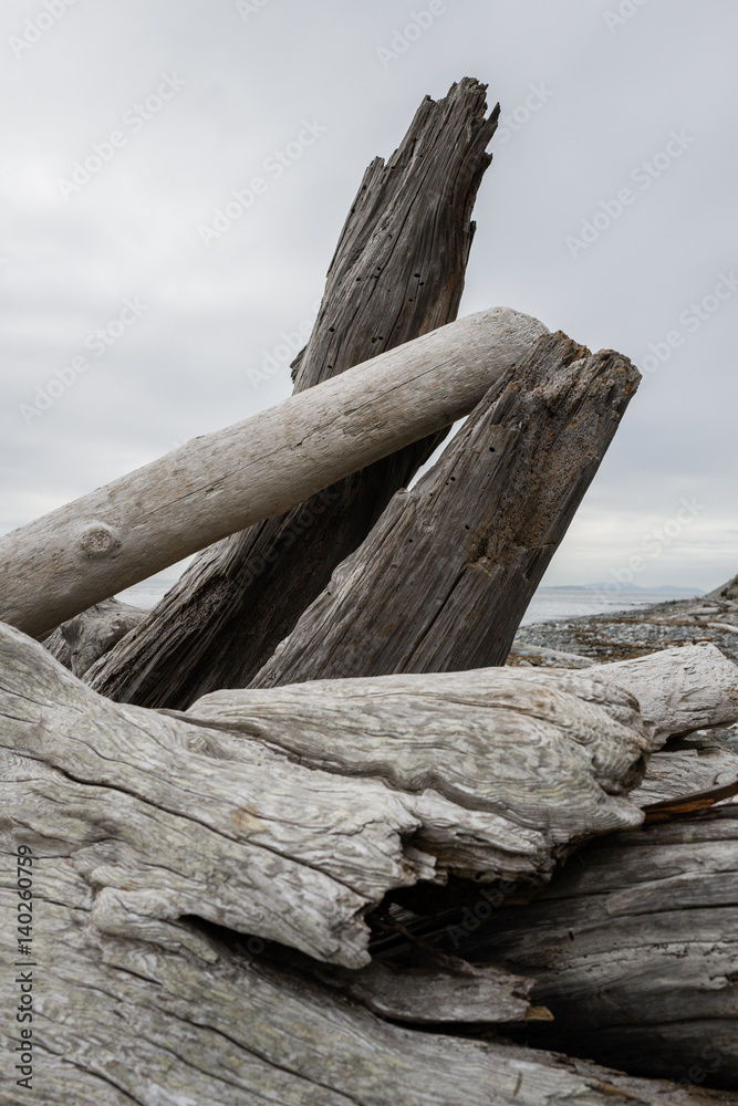 Driftwood on the beach in the Pacific Northwest