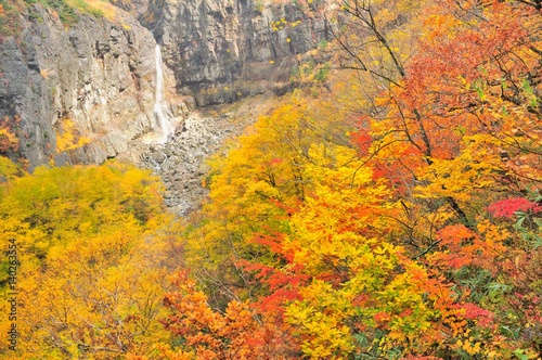 秋の渓谷・紅葉の風景