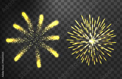 Firework different shapes colorful festive vector.