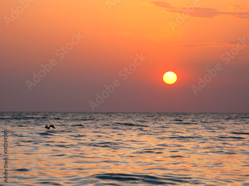Fototapeta Naklejka Na Ścianę i Meble -  Fantastic orange sea ocean sunset horizon sky photo
