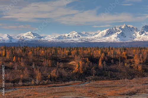 Looking Into Denali National Park From The George Parks Highway, Alaska, USA