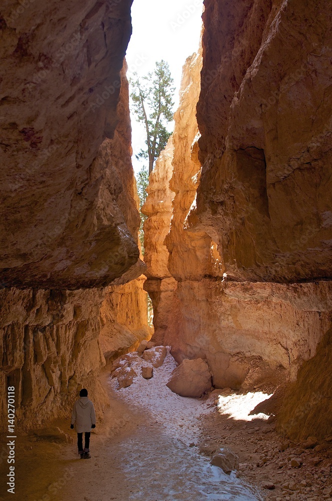 Exploring the pathways of Bryce Canyon National Park in Utah.