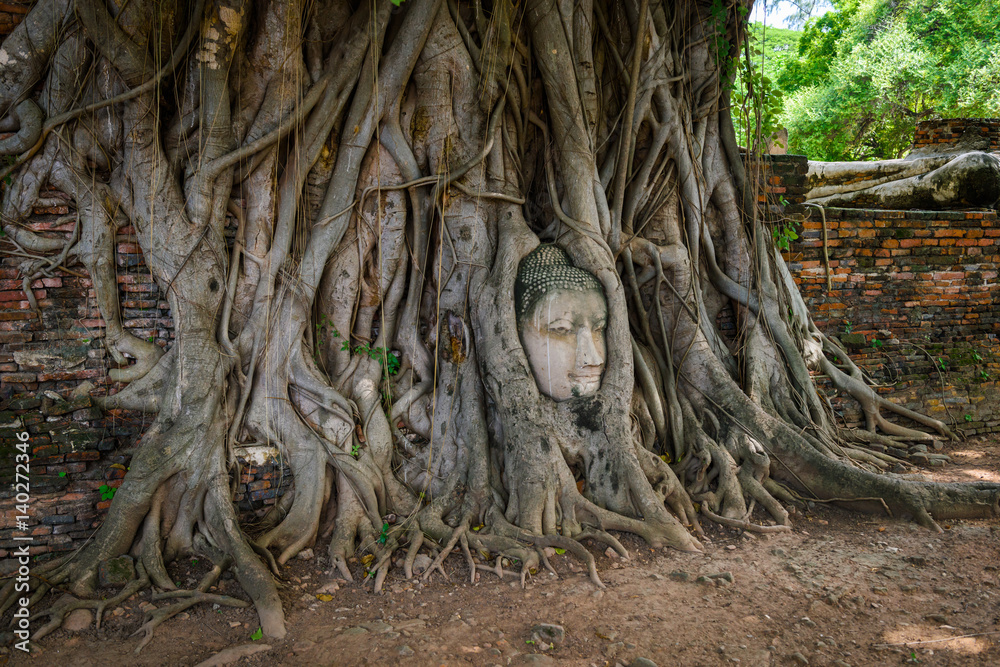 Buddha Head Tree Wat Maha That (Ayutthaya)