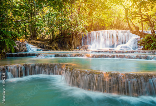 Fototapeta Naklejka Na Ścianę i Meble -  Waterfall in rain forest (Tat Kuang Si Waterfalls at Luang prabang, Laos.)