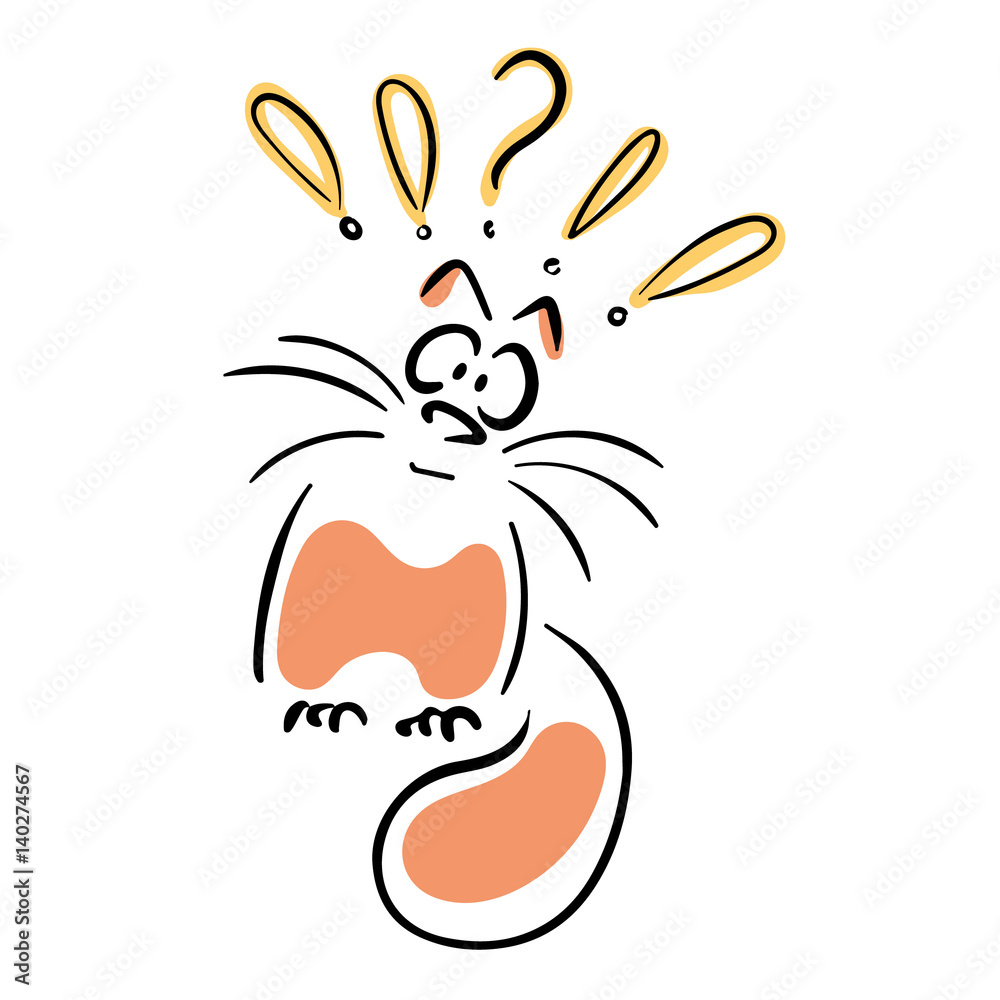 Cat with exclamation marks and question mark Stock Vector Adobe Stock