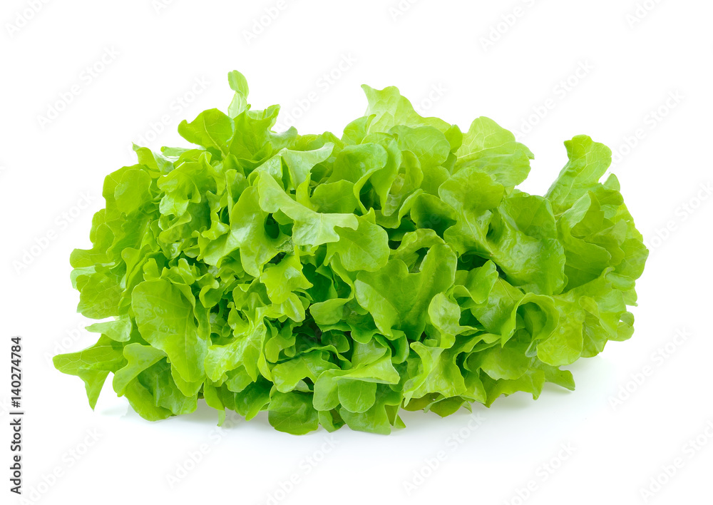 Salad leaf. Lettuce isolated on white background Salad leaf. Lettuce isolated on white background