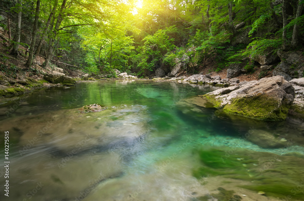 Lake in forest. Lake in forest.