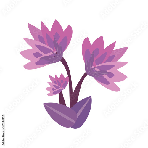 lily flower spring image vector illustration eps 10