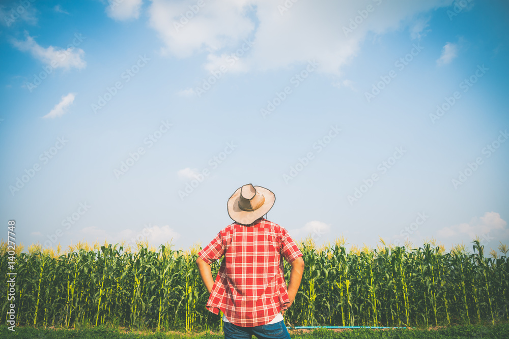 Farmer and the corn field