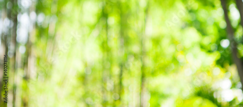 Tropical  vacation  summer blurred background