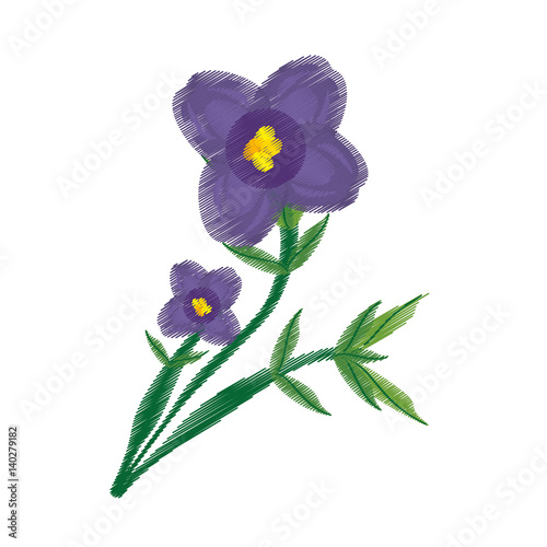 drawing african violet flower ornament vector illustration eps 10
