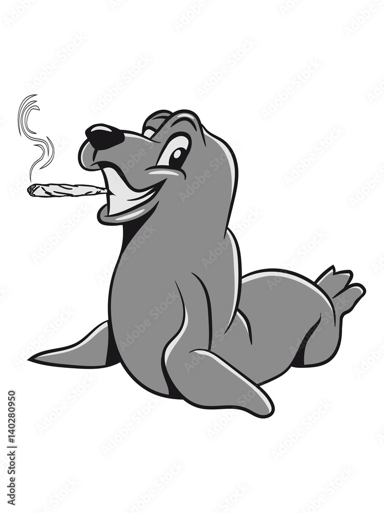 Fototapeta premium Seehund funny joint kiffen