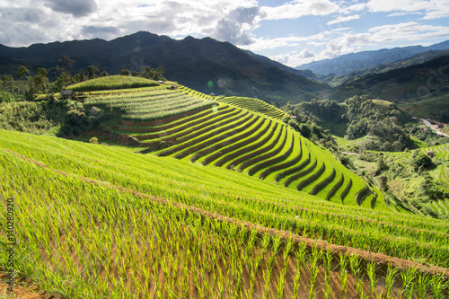green Terraced ,Rice Field motion by strong wind on cloudy day and sunlight,motion blur,Lens Flare © mungkornz