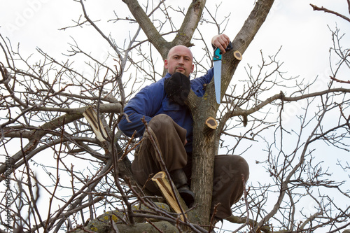 Gardener in a blue dress with a saw in his hand sits on a high tree in the early spring
