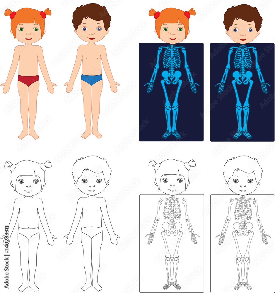 Boy and girl unclothed. Kids bodies by X-ray. Educational coloring book for kids Boy and girl unclothed. Kids bodies by X-ray. Educational coloring book for kids