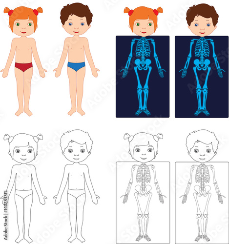 Boy and girl unclothed. Kids bodies by X-ray. Educational coloring book for kids