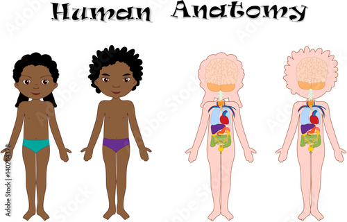 African American boy and girl unclothed. Human anatomy for kids