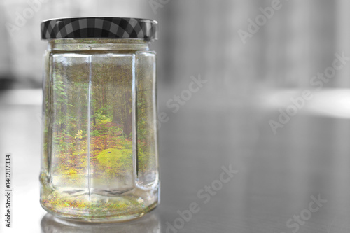 Forest caught in a jar