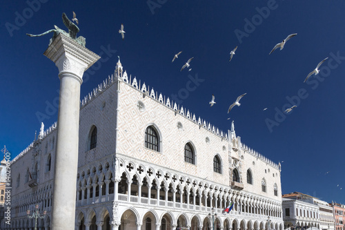Bilde på lerret Palazzo Ducale a Venezia e uccelli in volo