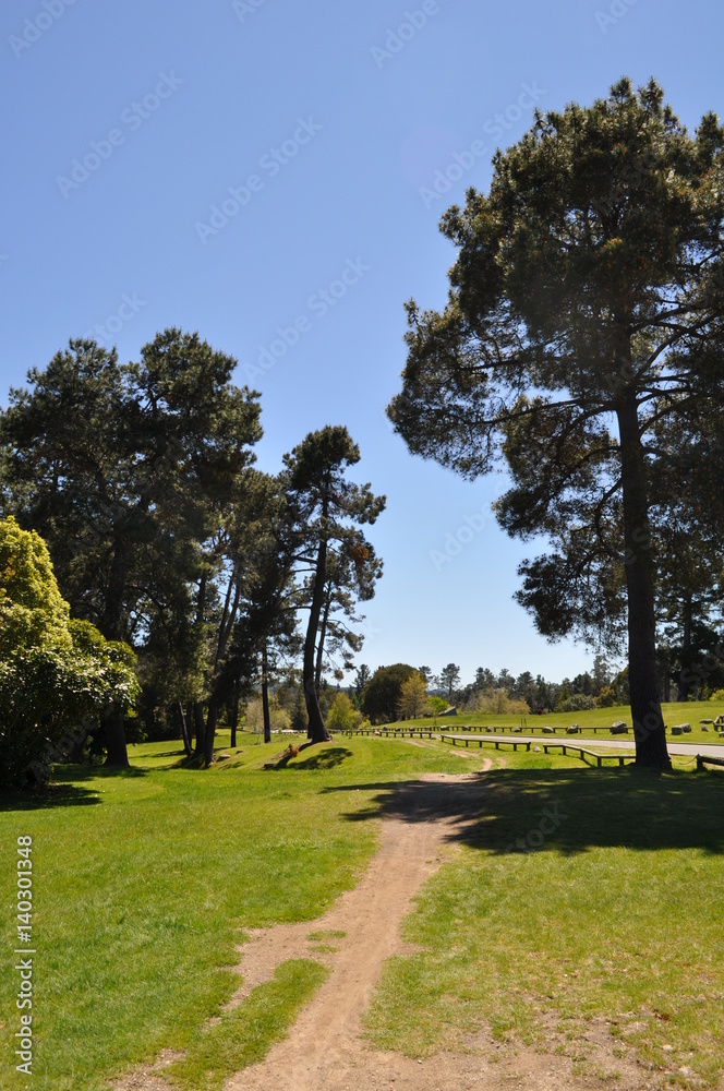 Obraz premium Huka Falls walk