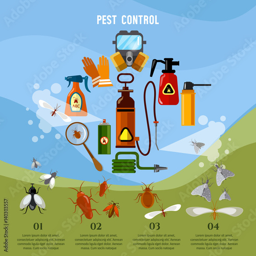 Pest control service infographic detecting exterminating insects