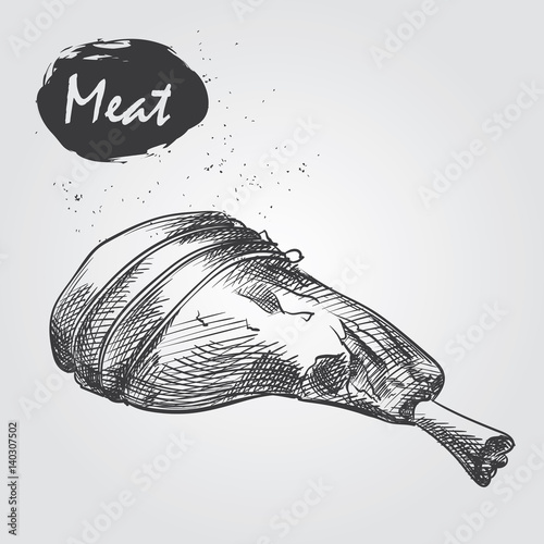 Sketch leg meat on white background. Hand drawn meat elements Retro style poster with cow banner vector illustration. Use for butcher shop, livestock farm.